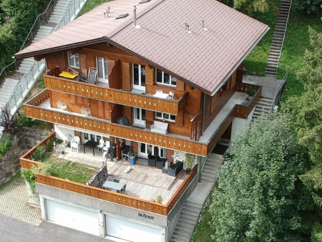 Etagenwohnung kaufen in Grindelwald Etagenwohnung kaufen in Grindelwald
