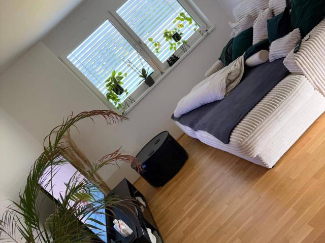 Apartment mieten in Ratzendorf, Maria Saal