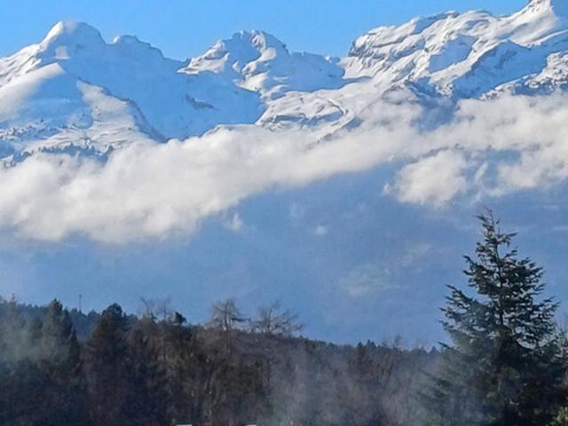 Apartment mieten in Feldkirch, Vorarlberg