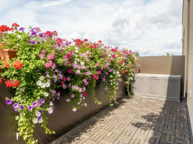 Wohnung kaufen in Steiermark