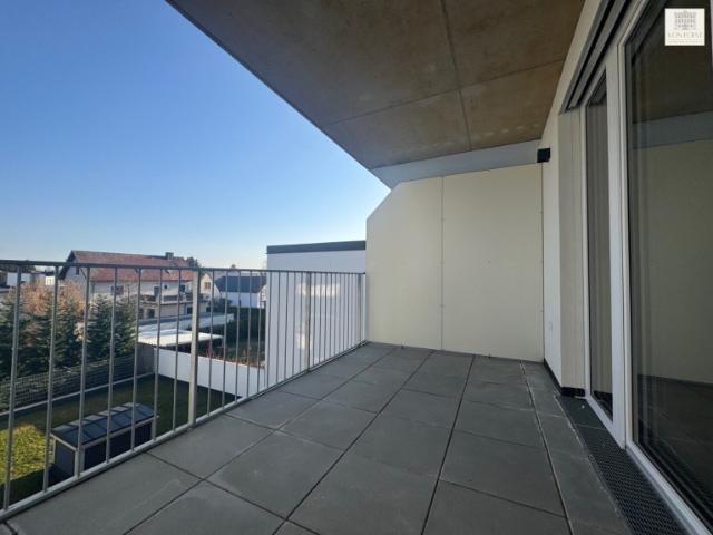 Terrassenwohnung kaufen in Leobersdorf, Niederösterreich