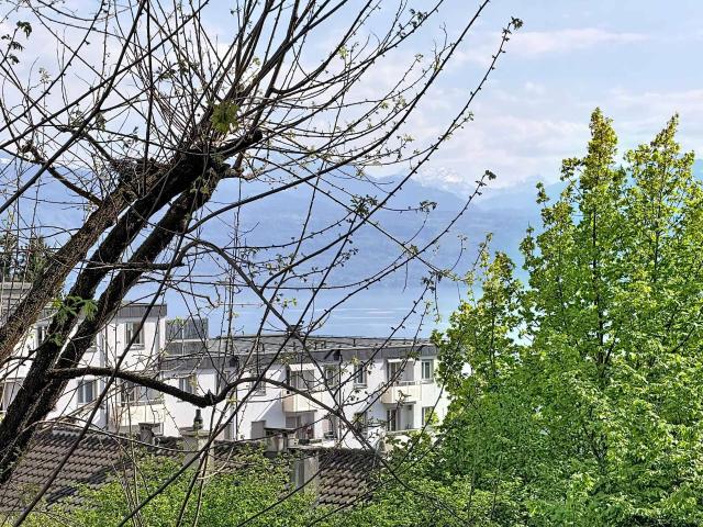 Wohnung kaufen in Cheseaux-Lausanne, Waadt