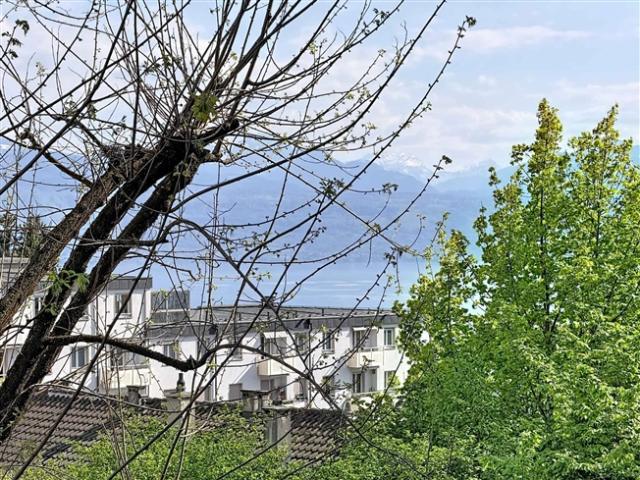 Wohnung kaufen in Cheseaux-Lausanne, Waadt