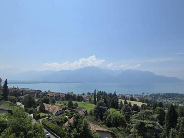 Wohnung kaufen in Chailly-Montreux, Waadt