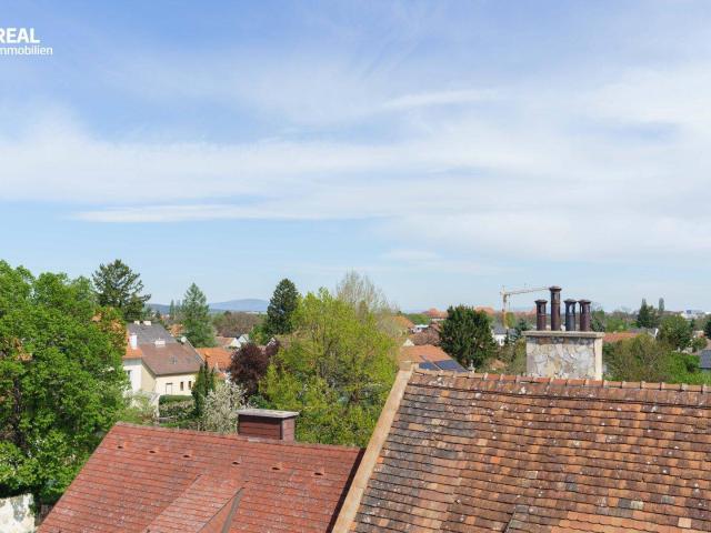 Apartment kaufen in Wiener Neustadt, Niederösterreich
