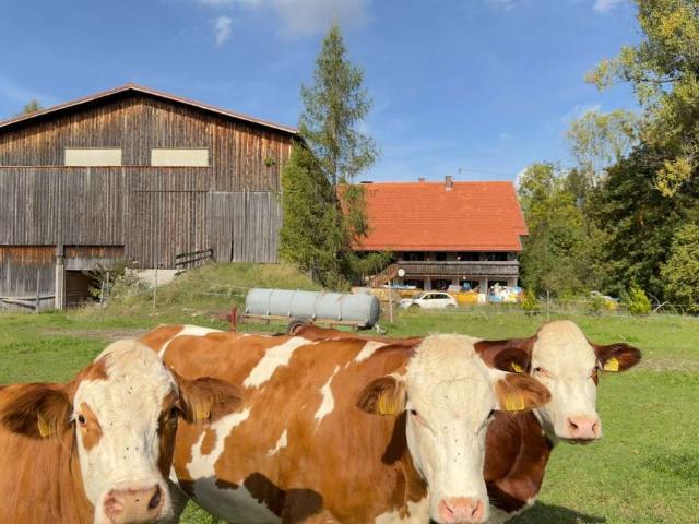 Haus kaufen in Peiting, Landkreis Weilheim-Schongau
