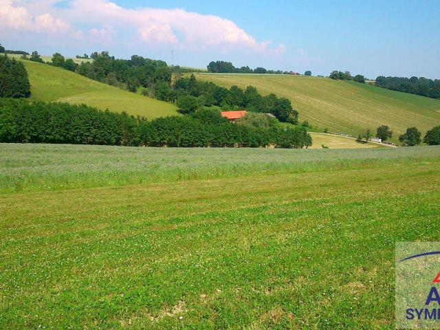 Haus kaufen in Fehring, Bezirk Südoststeiermark