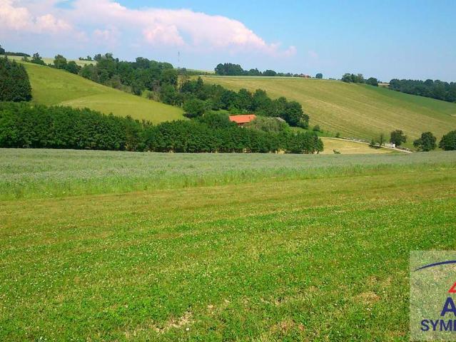 Haus kaufen in Bezirk Südoststeiermark, Steiermark