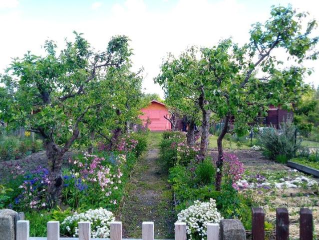 Erdgeschosswohnung mieten in Thekla, Leipzig