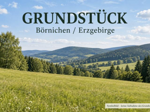 Erdgeschosswohnung kaufen in Börnichen, Erzgebirgskreis
