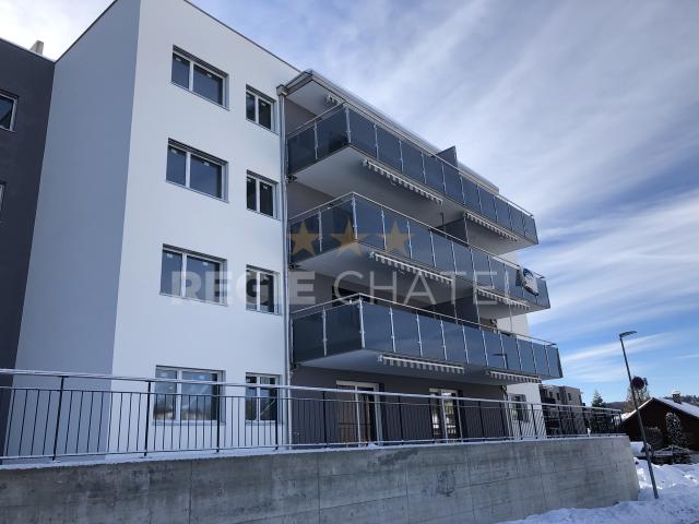 Wohnung mieten in Châtel-Saint-Denis, Freiburg