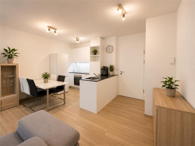 Wohnung kaufen in Les Mayens-de-Sion, Wallis