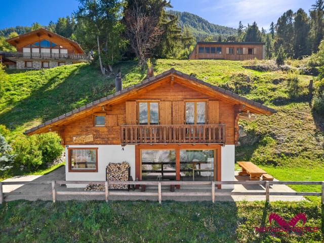 Haus kaufen in Baar, Nendaz, Wallis