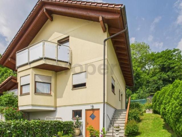 Haus kaufen in Monteceneri, Tessin