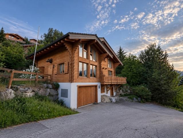 Haus kaufen in Haute Nendaz, Nendaz