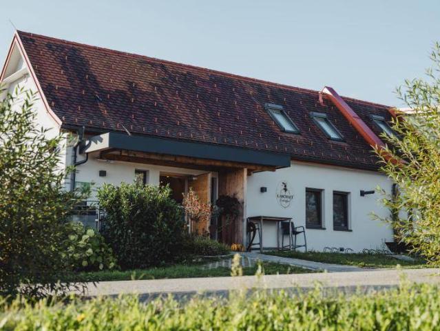 Apartment kaufen in Deutsch Kaltenbrunn, Burgenland