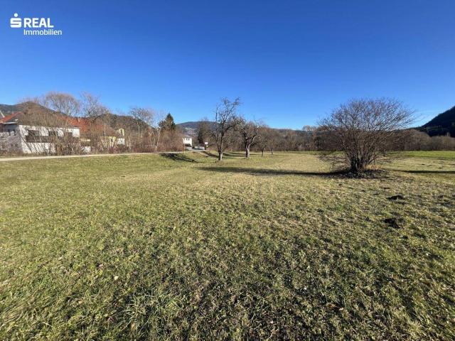 Immobilie kaufen in Sankt Salvator, Friesach