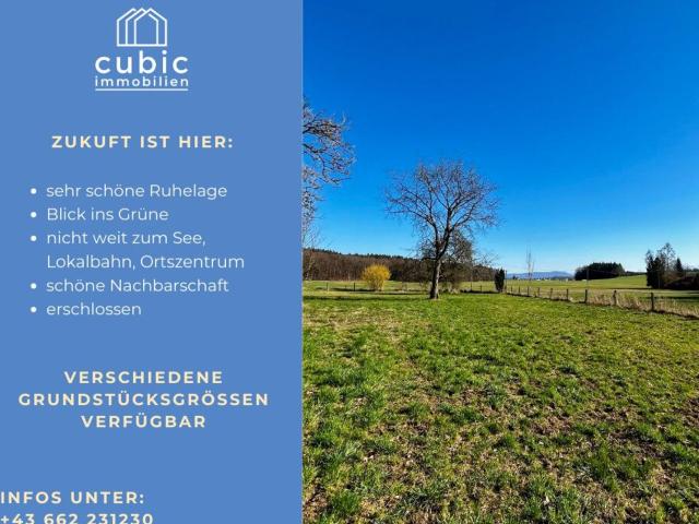 Grundstück kaufen in St. Georgen bei Salzburg, Oberösterreich