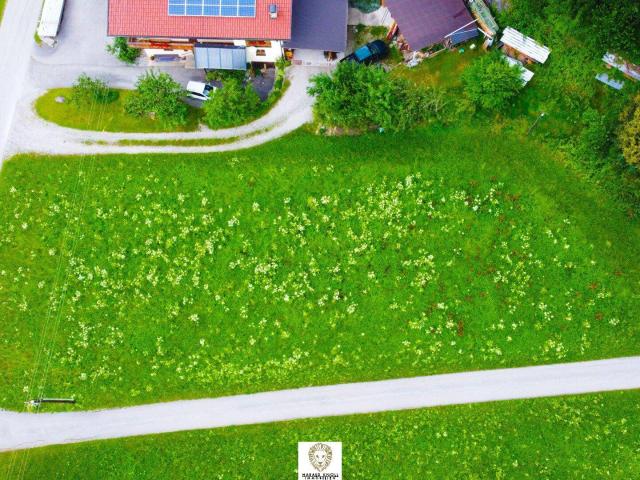 Immobilie kaufen in Stumm, Tirol