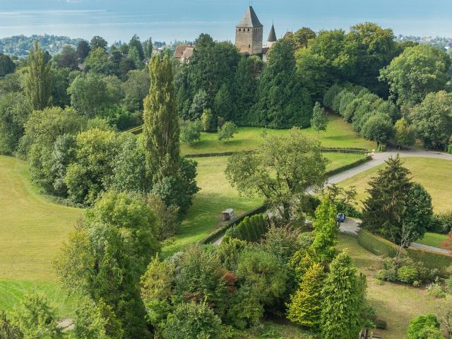 Immobilie kaufen in Blonay, Waadt