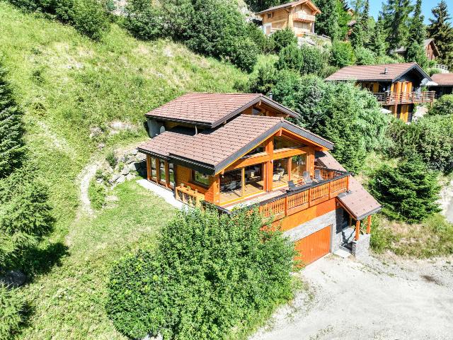 Haus kaufen in Vex, Wallis