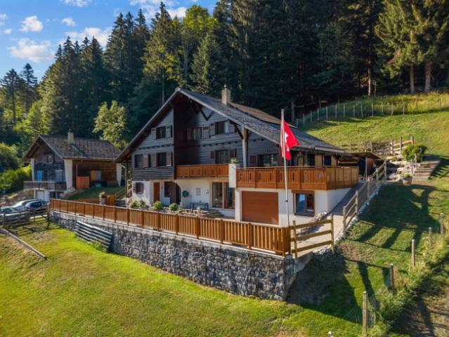 Einfamilienhaus kaufen in Châtel-Saint-Denis, Freiburg