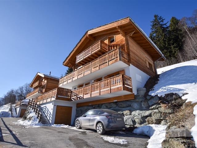 Haus kaufen in Vex, Wallis