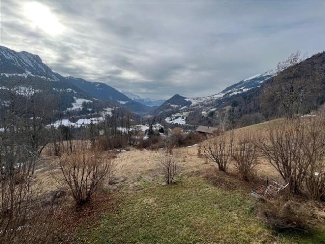 Haus kaufen in Ormont-Dessous, Waadt