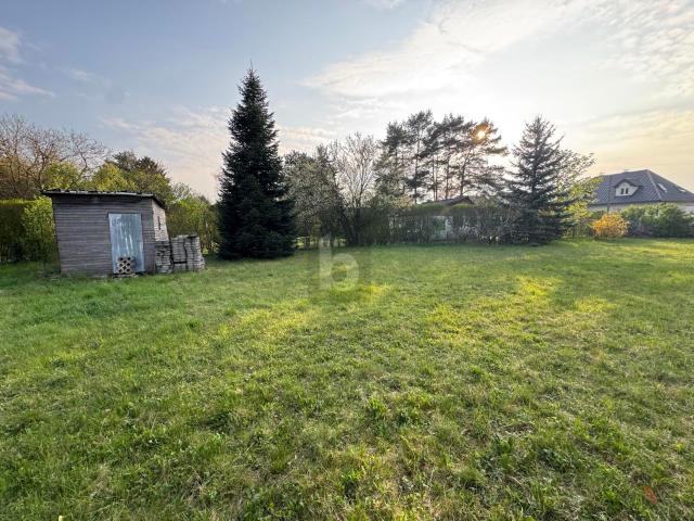 Grundstück kaufen in Gänserndorf, Niederösterreich