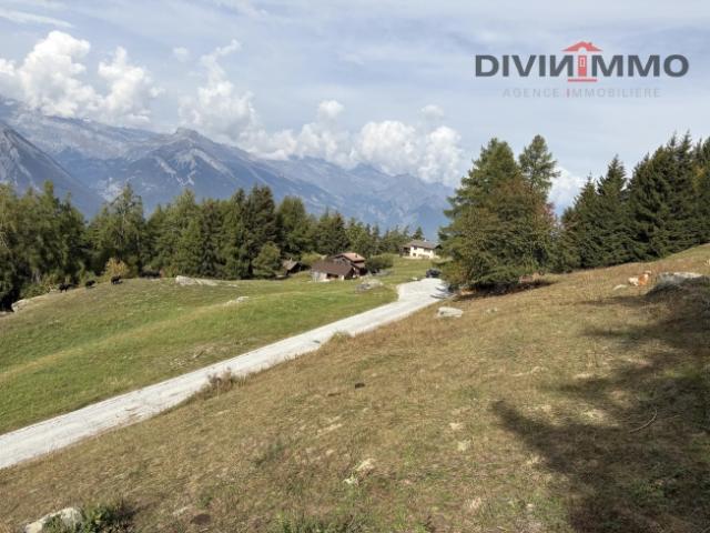Grundstück kaufen in Haute Nendaz, Nendaz