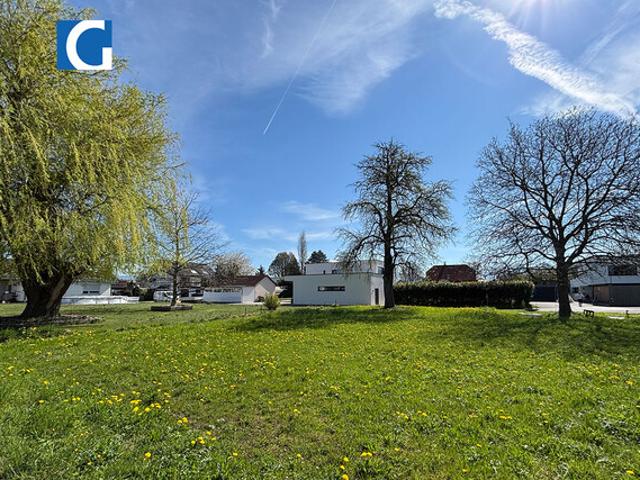 Grundstück kaufen in Höchst, Vorarlberg