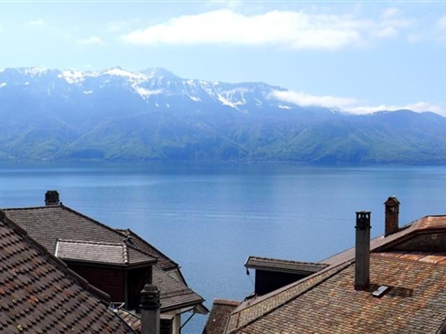 Einfamilienhaus kaufen in Bourg-en-Lavaux, Waadt