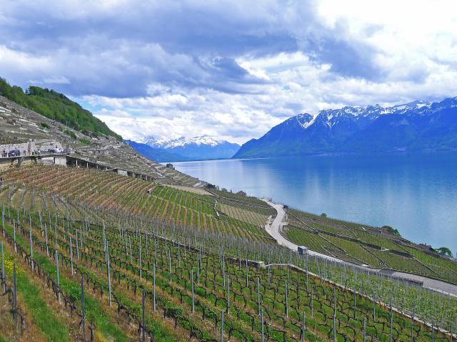 Reihenfamilienhaus kaufen in Bourg-en-Lavaux, Waadt