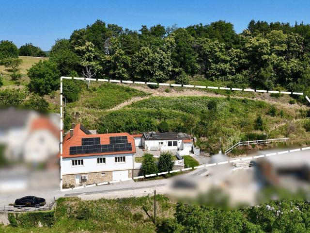 Haus kaufen in Forchtenstein, Hofleiten
