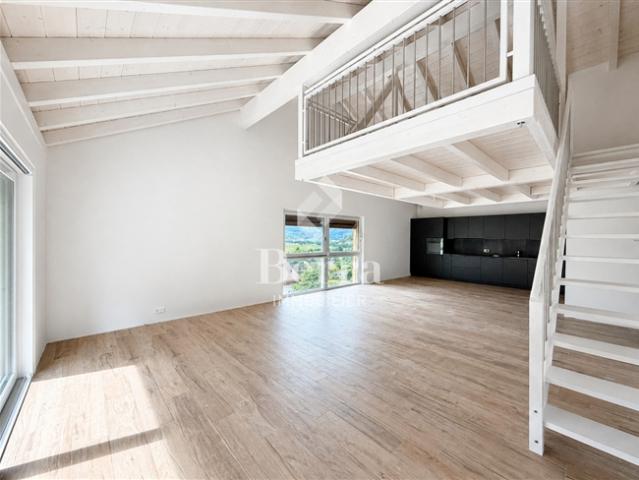 Wohnung kaufen in Ollon (VS), Waadt