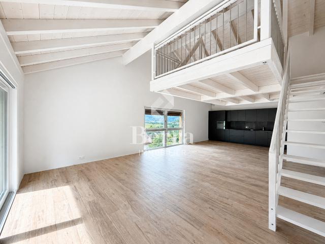 Wohnung kaufen in Ollon (VS), Waadt