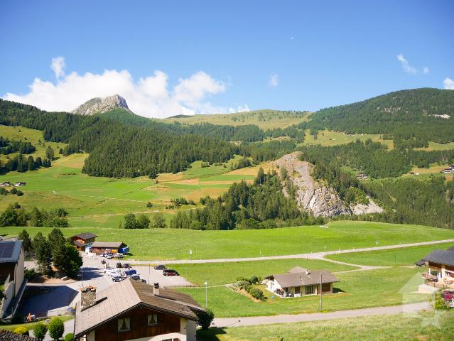 Reihenfamilienhaus kaufen in Liddes, Wallis