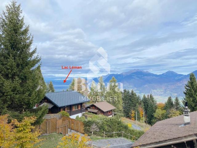 Haus kaufen in Monthey, Wallis