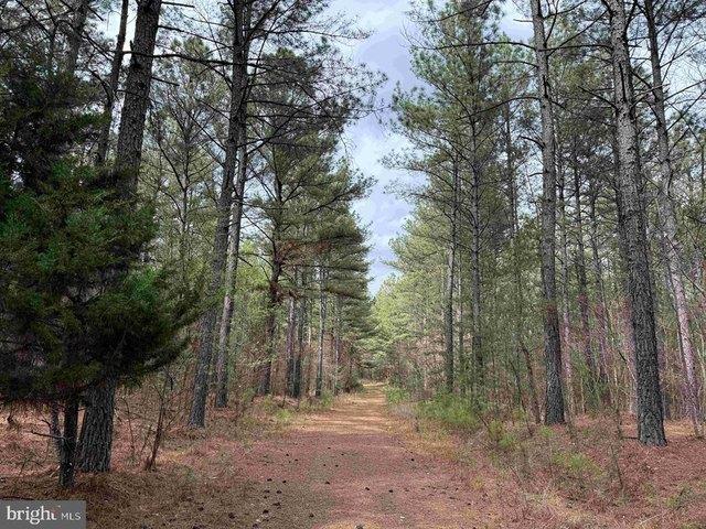Land for sale in Virginia