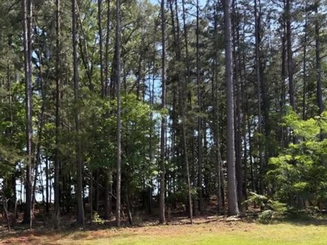Land for sale in Evington, Campbell County