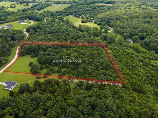 Land for sale in Fordland, Missouri