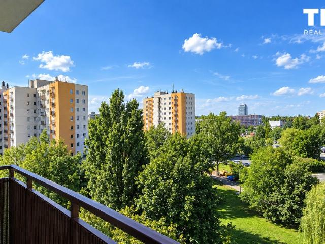 Mieszkanie do wynajęcia w Katowice, Śląskie