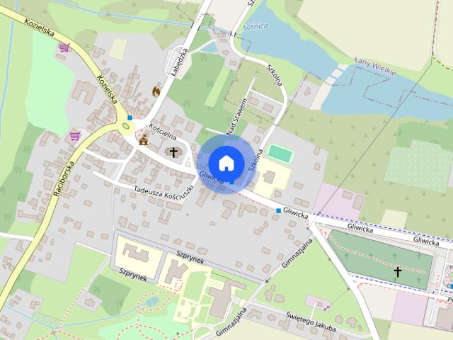 Dom do wynajęcia w Sośnicowice, Śląskie