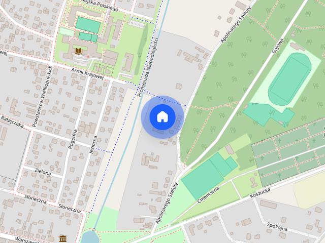 Dom do wynajęcia w Słupca, Wielkopolskie
