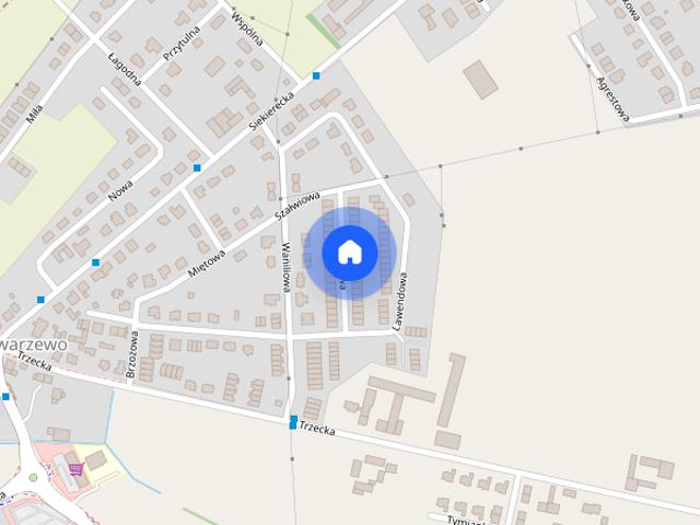 Mieszkanie do wynajęcia w Gowarzewo, Wielkopolskie