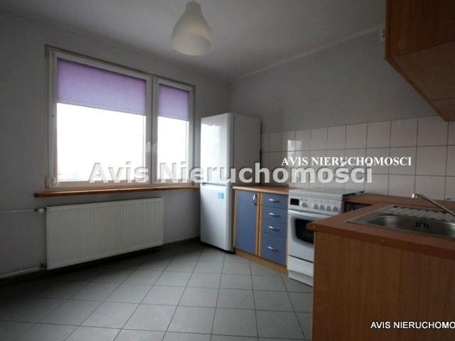 Mieszkanie do wynajęcia w Świdnica, Dolnośląskie