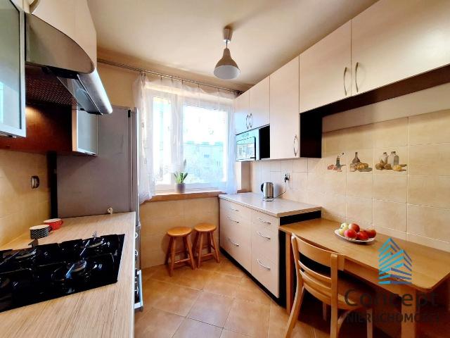 Mieszkanie do wynajęcia w Brzesko, Małopolskie