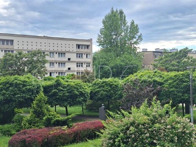 Mieszkanie do wynajęcia w Katowice, Śląskie