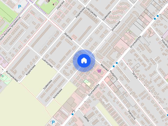 Mieszkanie do wynajęcia w Plewiska, Wielkopolskie