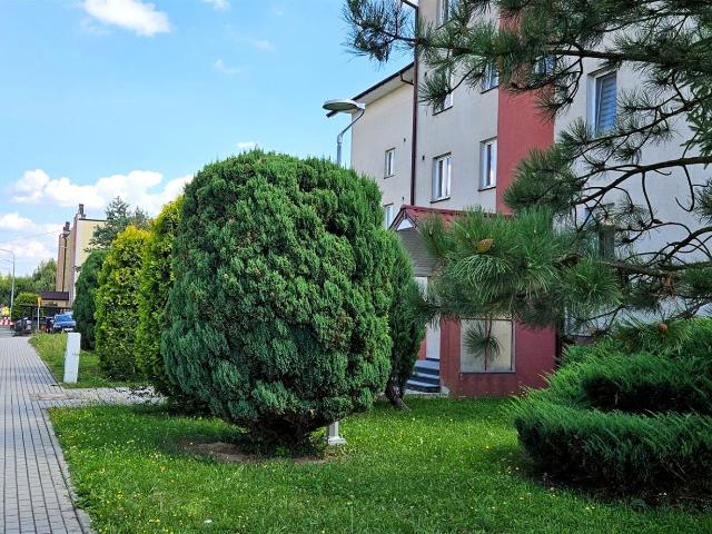 Mieszkanie do wynajęcia w Dąbrowa Tarnowska, Małopolskie